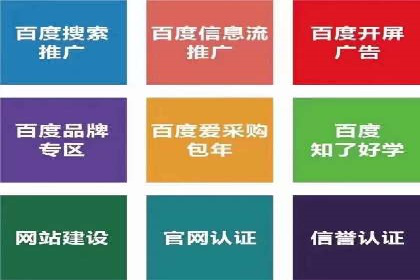 某行业领军企业的SEM广告投放策略